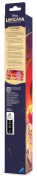 DLC_S14_Playmat_package_Back-angled_Retail_B_Miguel_guitar.png